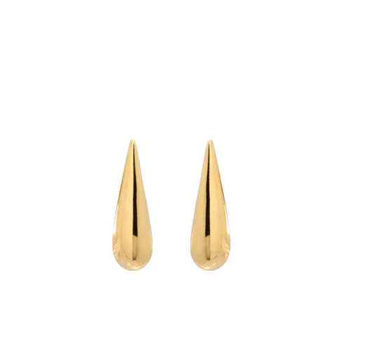 Tuiuiu Earring Pp